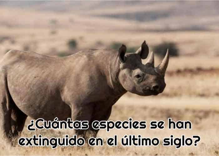 especies extinguidas en ultimo siglo