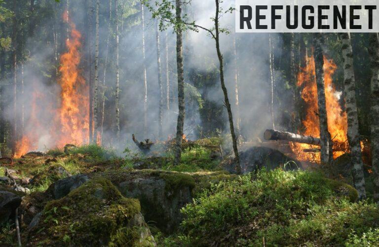El-mundo-de-los-incendios-forestales
