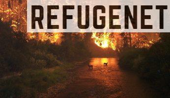 Incendios-forestales-causas