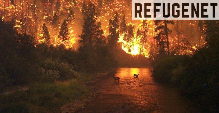 Incendios-forestales-causas