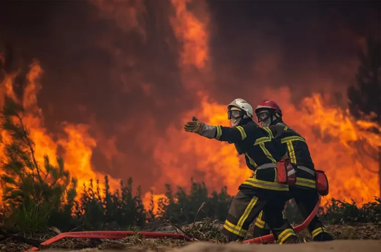 Prevencion-y-Mitigacion-de-Incendios-Forestales