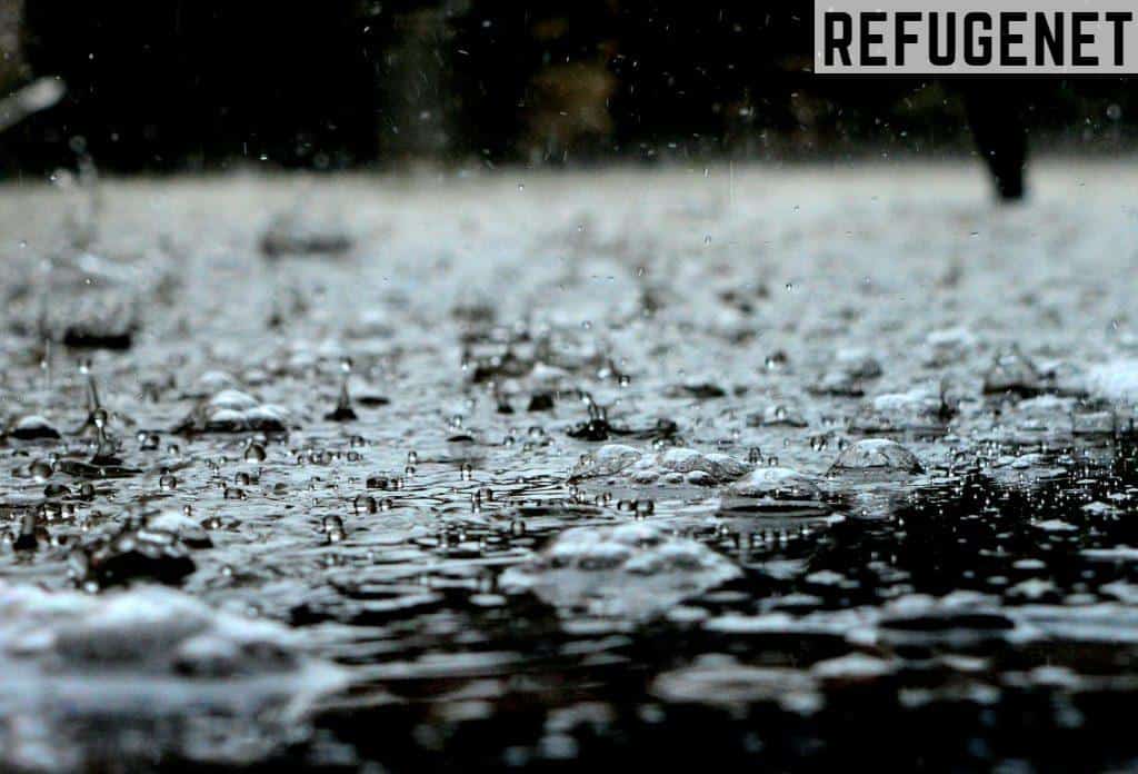 Rain Drops