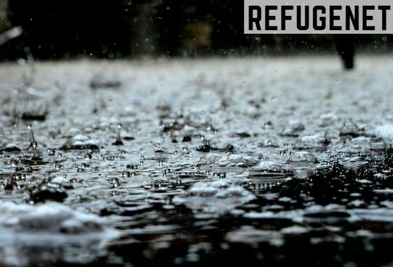 Rain Drops