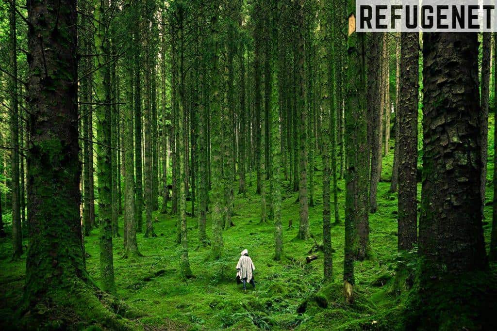 curiosidades de la naturaleza