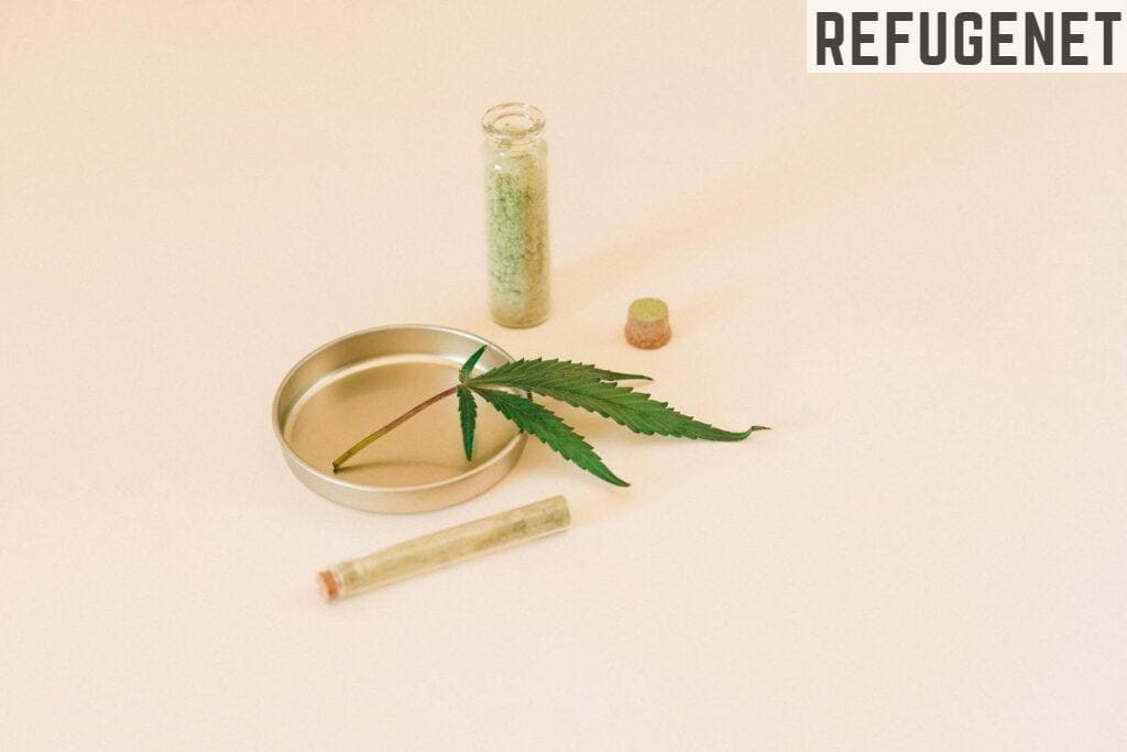 Tetrahidrocannabinol: qué es y cómo actúa 