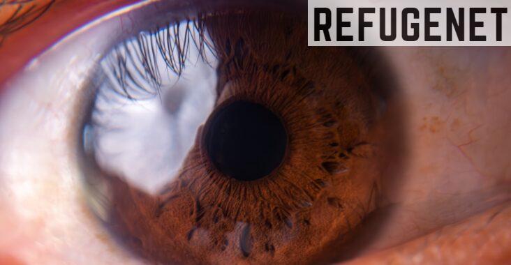 a close up view of a human eye