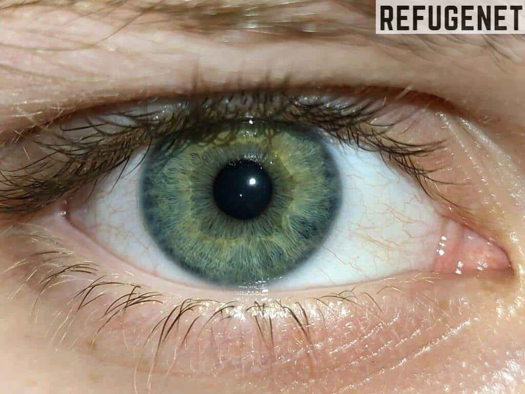 A close up of a person's green eye