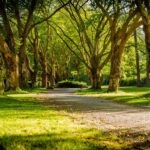 Cómo descubrir espacios naturales cerca de una gran ciudad