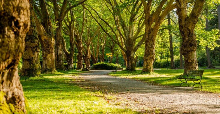 Cómo descubrir espacios naturales cerca de una gran ciudad