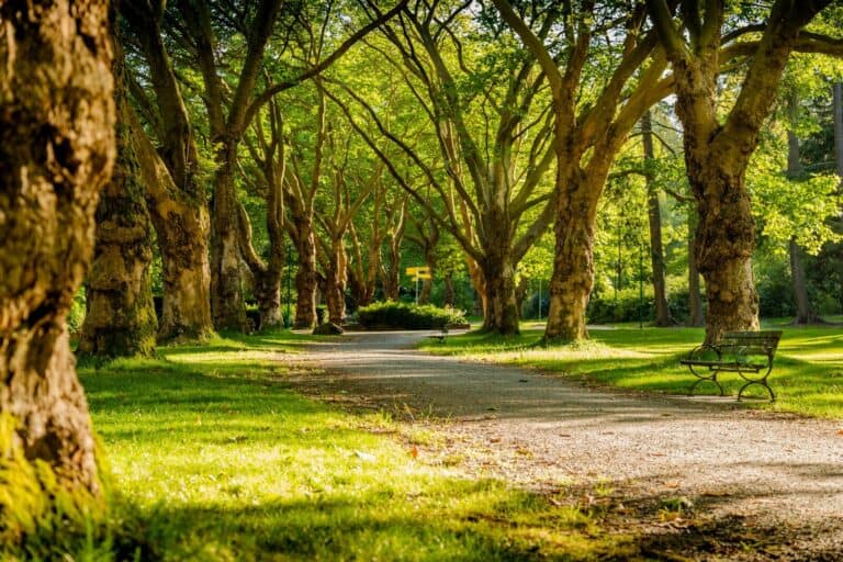 Cómo descubrir espacios naturales cerca de una gran ciudad